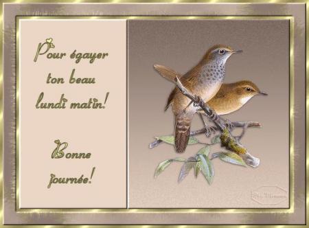 Bonjour tout le monde